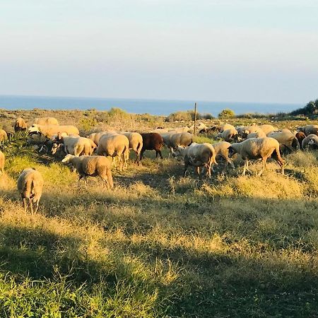 Alojamiento Mar Y Montana ξενώνας Αλμερία Εξωτερικό φωτογραφία