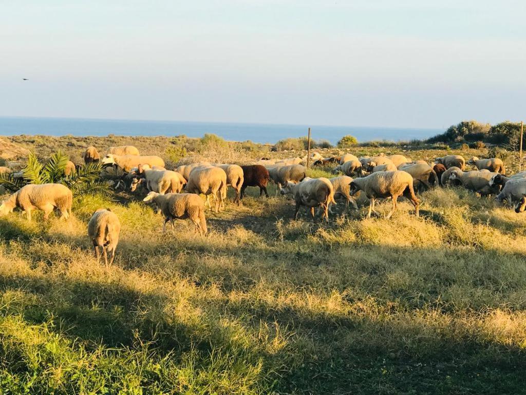 Alojamiento Mar Y Montana ξενώνας Αλμερία Εξωτερικό φωτογραφία
